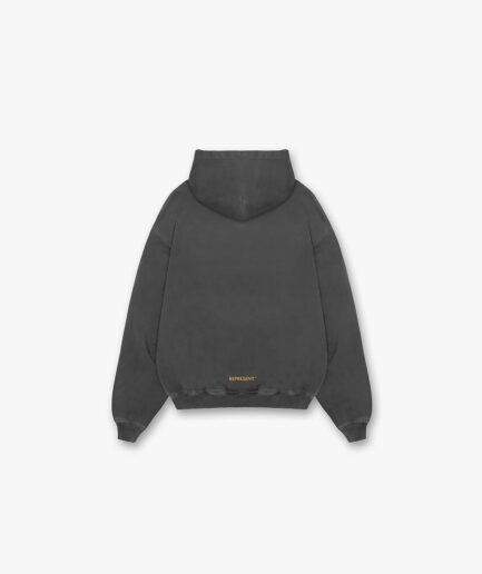 Higher Truth Hoodie